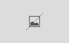 IMG-20251221-WA0008